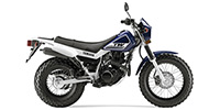 2016_Yamaha_TW_200.jpg