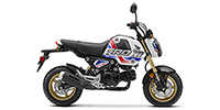 2023 Honda GROM ABS - 124cc Options and Equipment