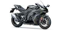 2023 Kawasaki ZX1002MPFAL NINJA ZX-10R - 998cc Options and Equipment