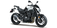 2026 Kawasaki ZR900STFNL Z900 (ABS) - 948cc Options and Equipment
