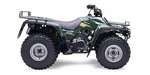 2004 Kawasaki KLF300B17 BAYOU Options and Equipment