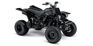2004 Yamaha YFZ350LES BANSHEE LTD Options and Equipment