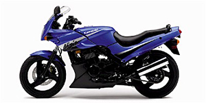2005 Kawasaki EX500D12 NINJA 500R Options and Equipment