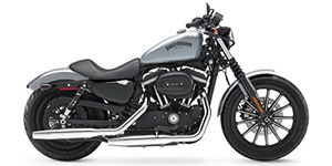 2015 Harley-Davidson XL883N IRON - 883cc Options and Equipment