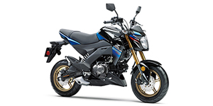2018 Kawasaki BR125JJFA Z125 PRO SE - 125cc Options and Equipment