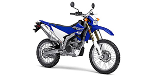 2019_Yamaha_WR_250R.jpg