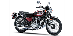 2020 Kawasaki W800 - 773cc Options and Equipment