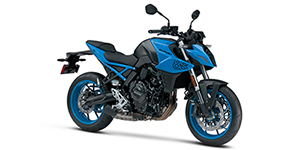 2024_Suzuki_GSX-S_8S.jpg