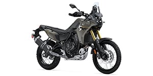 Top 650cc Road/Trail