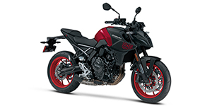 2026 Suzuki GSX800RQM6 GSX-8S - 776cc Options and Equipment