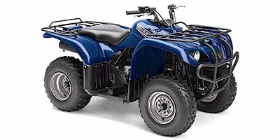 2007 Yamaha YFM25BW Big Bear (2WD) Prices and Specs