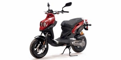 2009 Genuine Scooter Co. Rattler 110 Prices and Specs