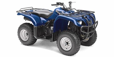 2008 Yamaha YFM25BXGR Big Bear (2WD) Prices and Specs