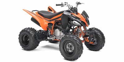 2008 Yamaha YFM25RSPX Raptor Special Edition (2WD) Prices and Specs