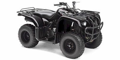 2009 Yamaha YFM25BYB Big Bear (2WD) Prices and Specs