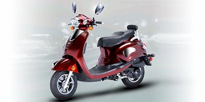 2010 Flyscooters Rio 150 Prices and Specs