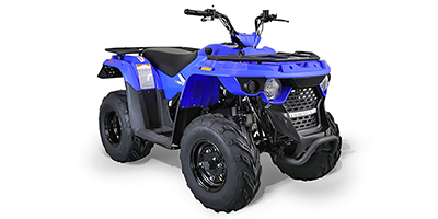 2018 Bennche Gray Wolf 150 Prices and Specs