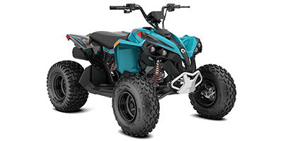 2024 Can-Am Renegade 110 EFI Prices and Specs