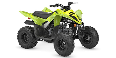 2026 Yamaha Raptor 110 Prices and Specs
