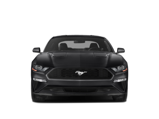 2018 Ford Mustang Coupe 2D GT V8