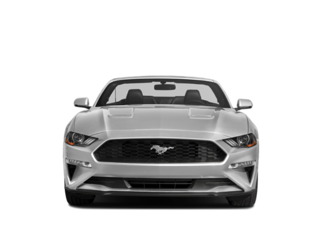 2019 Ford Mustang Convertible 2D EcoBoost Premium I4