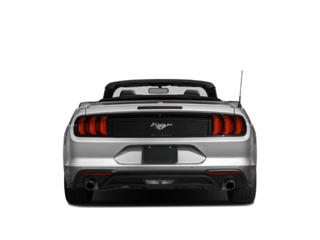 2019 Ford Mustang Convertible 2D EcoBoost Premium I4