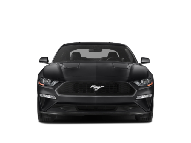 2019 Ford Mustang EcoBoost Fastback