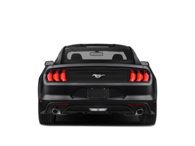 2019 Ford Mustang EcoBoost Fastback