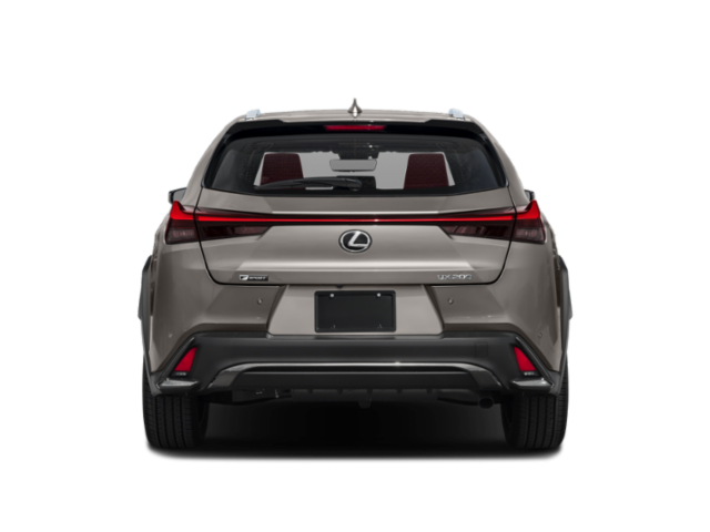 2019 Lexus UX Utility 4D UX200 F Sport 2WD