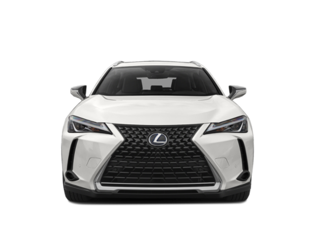 2019 Lexus UX UX 250h AWD