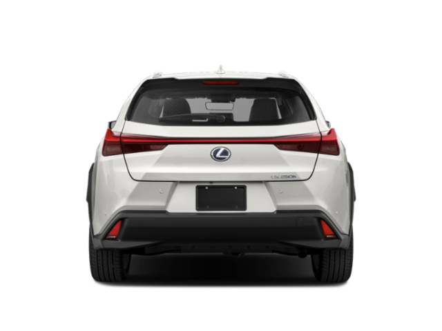 2019 Lexus UX UX 250h AWD