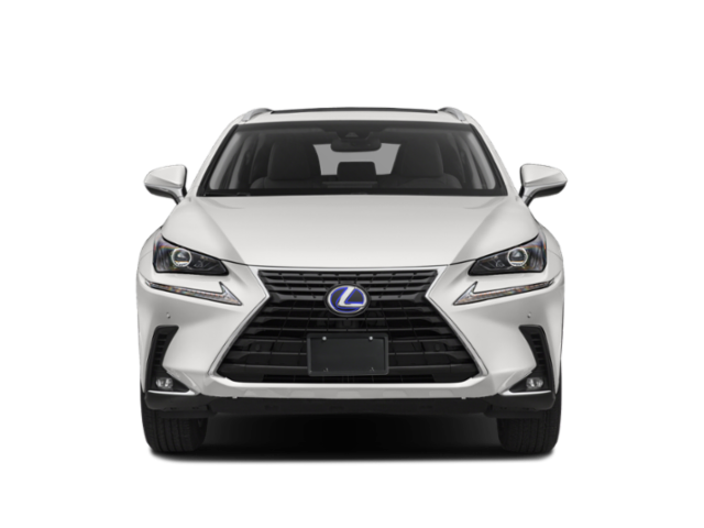 2020 Lexus NX Utility 4D NX300h Premium AWD