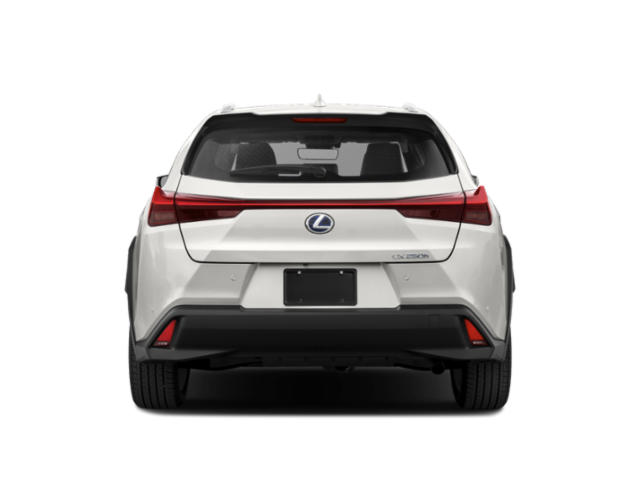 2020 Lexus UX Utility 4D Premium AWD