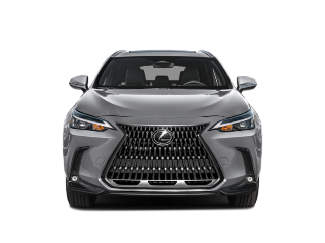 2025 Lexus NX NX 250 FWD