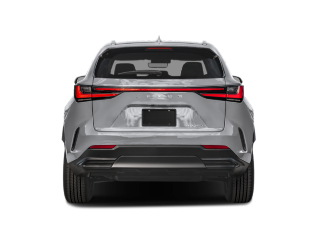 2025 Lexus NX NX 250 FWD