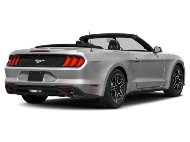 Ford Mustang 2020 Convertible 2D EcoBoost Premium I4 - Фото 2