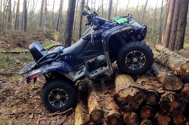 Arctic Cat ATVs For Sale